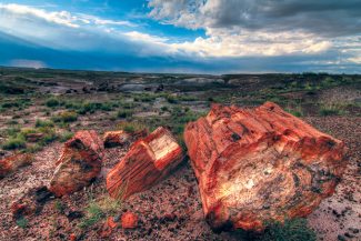 Petrified Forest National Park featured image